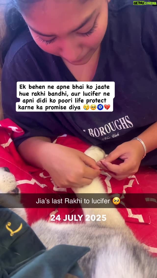 Ishmeet Kaur - 12.5K Likes - Aapki to happy rakhi thi magar humari nahi 😞🙏💔 sorry ,,, lucifer ki 3rd Rakhi thi ye aur shayad last bhi