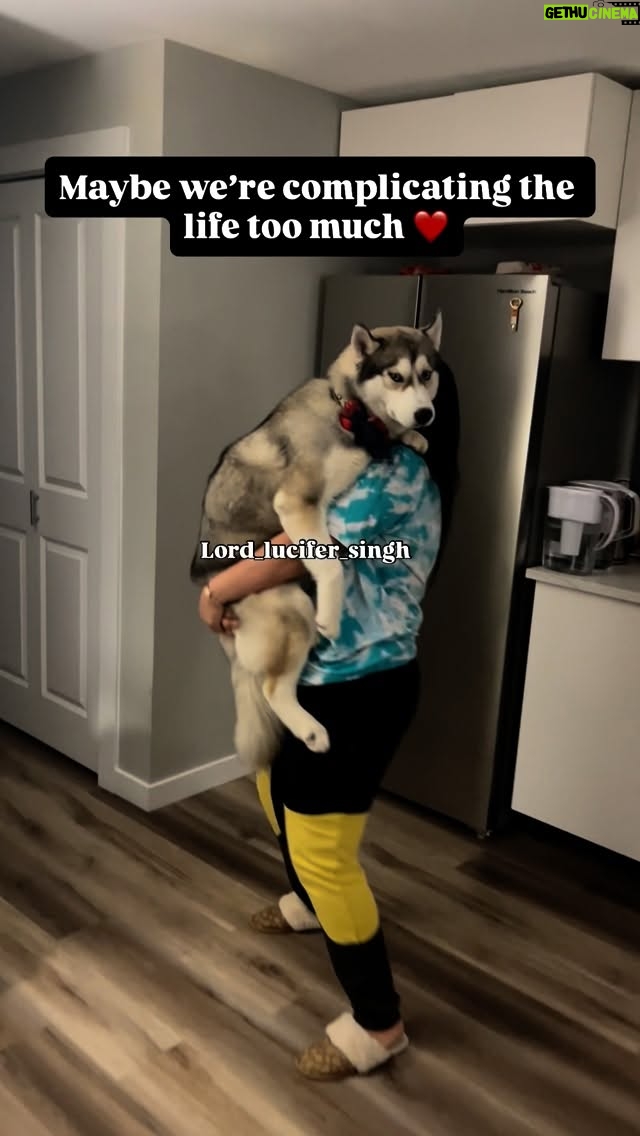 Ishmeet Kaur - 5.8K Likes - Mera bacha ❤️‍🩹🧿❤️‍🩹