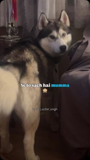 Ishmeet Kaur Instagram - Talent unlimited šššš