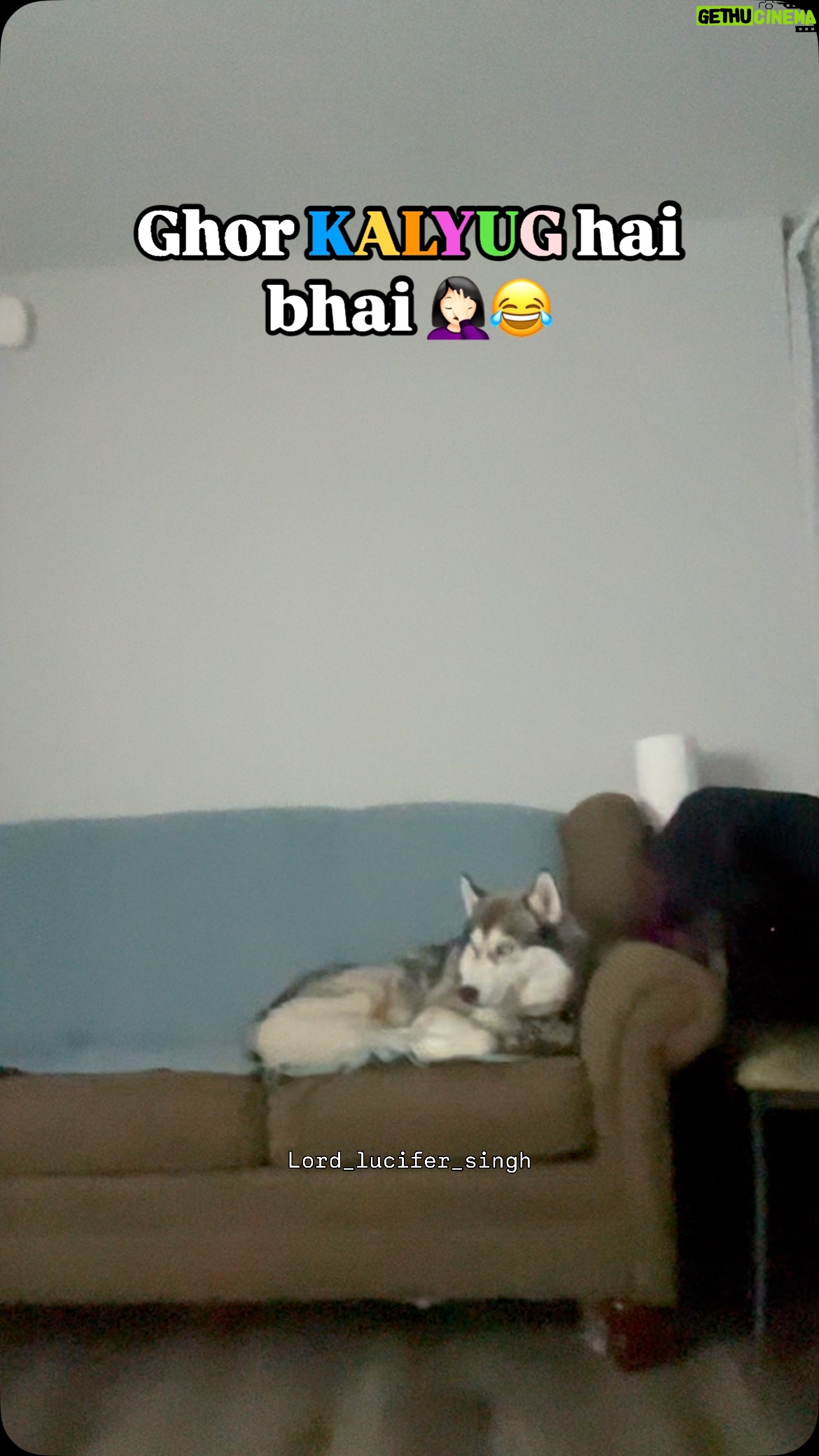 Ishmeet Kaur - 6.1K Likes - Raja saheb araaam farmaaa rahe hai 😈 🤴 
.
.
.
#dogsofinstagram #siberianhusky #dog #lifeofadog #mastlife #sofá #dogmom #dogoftheday #husky #huskiesofinstagram #huskies_of_instagram #huskyvideo #dogvideo #lifeofahusky #dogsincanada