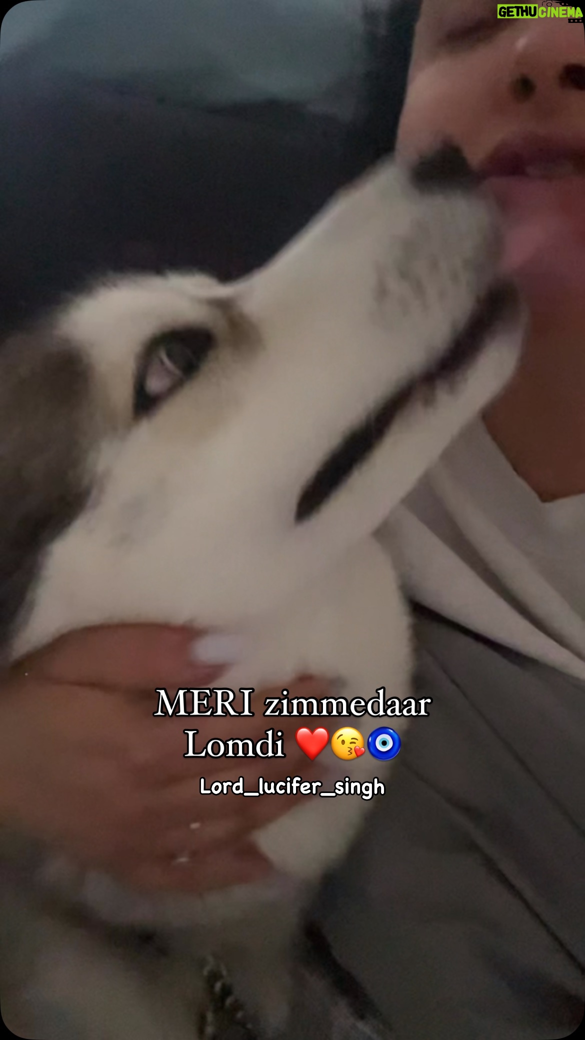 Ishmeet Kaur - 9.4K Likes - 😘❤️🧿
.
.
#dogmom #goodmorning #kisskiss #morningkiss