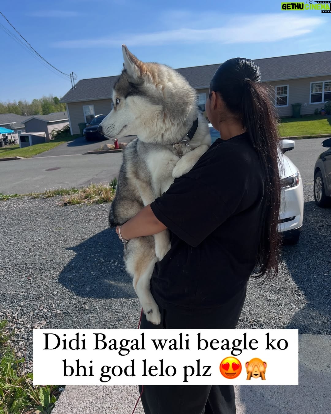Ishmeet Kaur - 21.6K Likes - Itihaaaas dohrayaaa Gaya hai , Kal @lord_lucifer_singh ko zabardastiii godiiii le liya jia didi ne 🤗🧿❤️😂🙈
.
.
#instalike #instamood #beautifuldestinations #canadá #novascotialife #explorepage✨ #huskies_of_instagram #husky #mybabies❤️