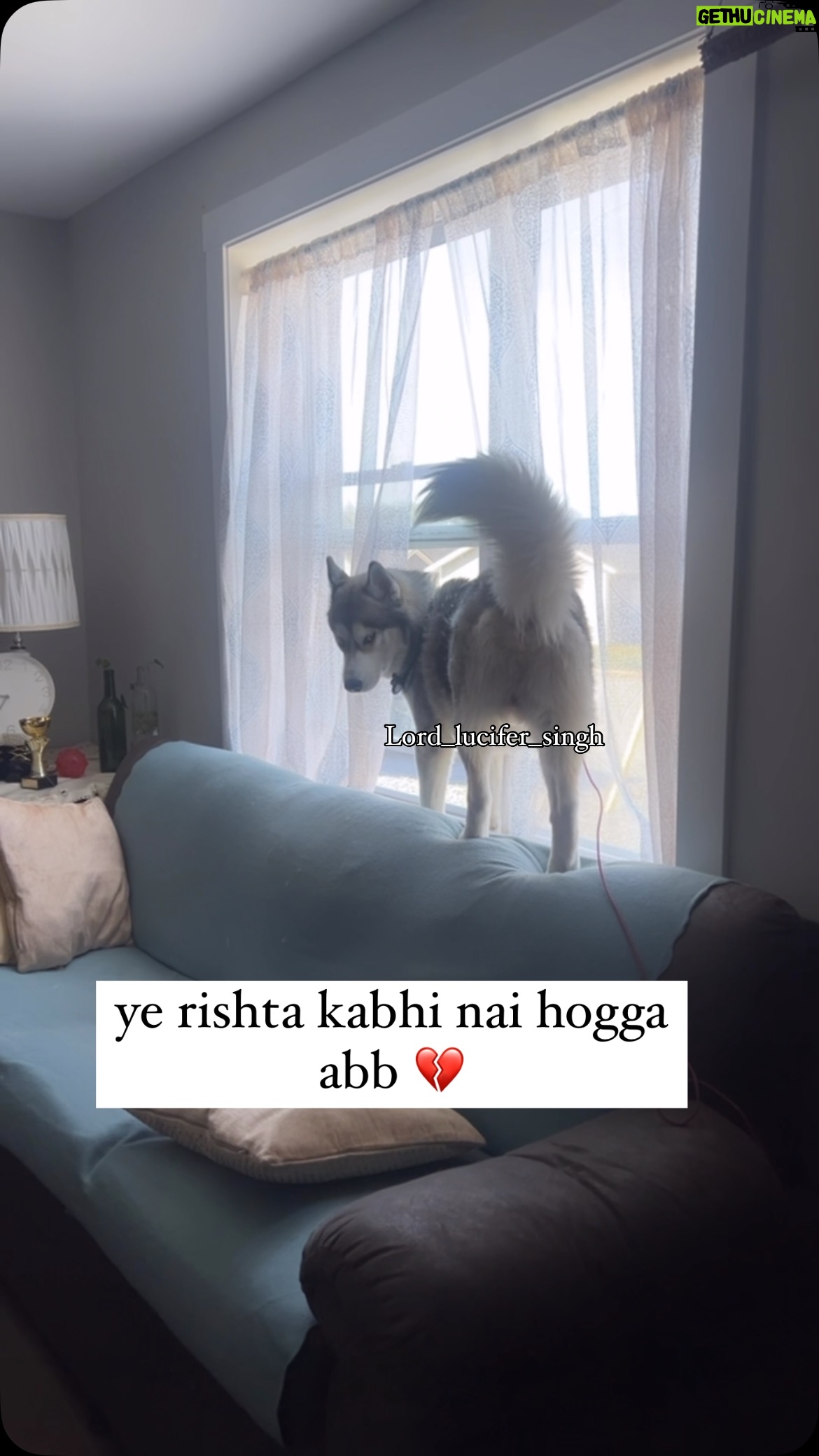 Ishmeet Kaur - 13.7K Likes - Aaj to wo bhi pitegiii apne Ghar pe 😢 uske papa kheeech ke le gae meri jaan ko 💔
.
.
#funnydogsofinstagram #viralcontent #dogsofinstagram #dogoftheday #husky #beagle #dogcouple #brokenheart
