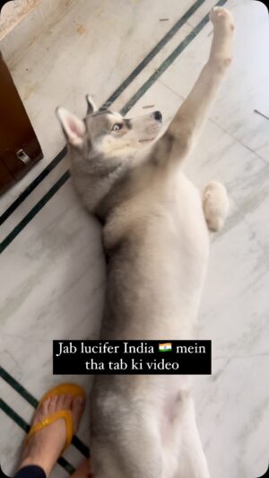 Ishmeet Kaur Instagram - Angdaaaai on peak šš§æā¤ļø