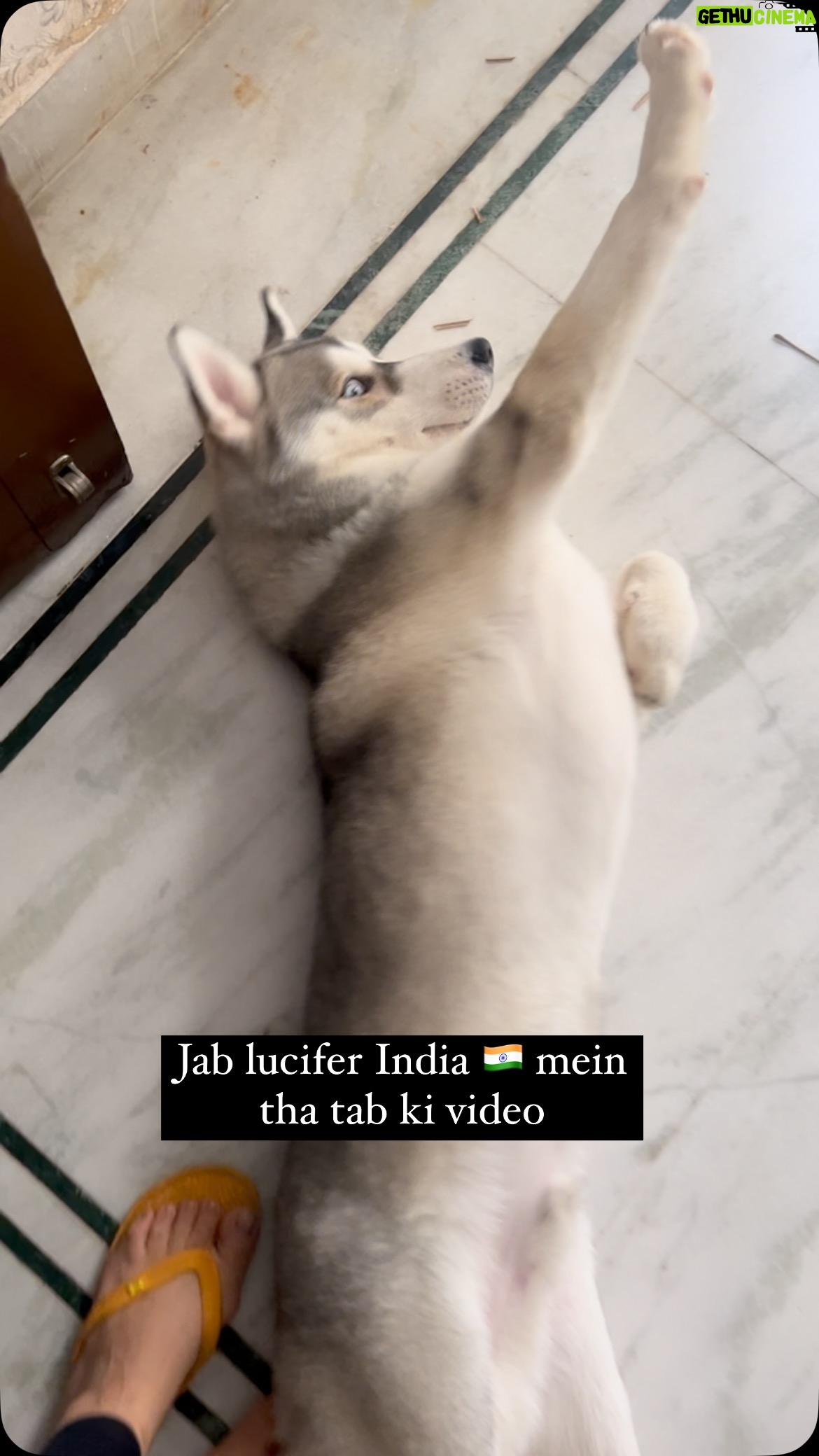 Ishmeet Kaur - 9K Likes - Angdaaaai on peak 😍🧿❤️