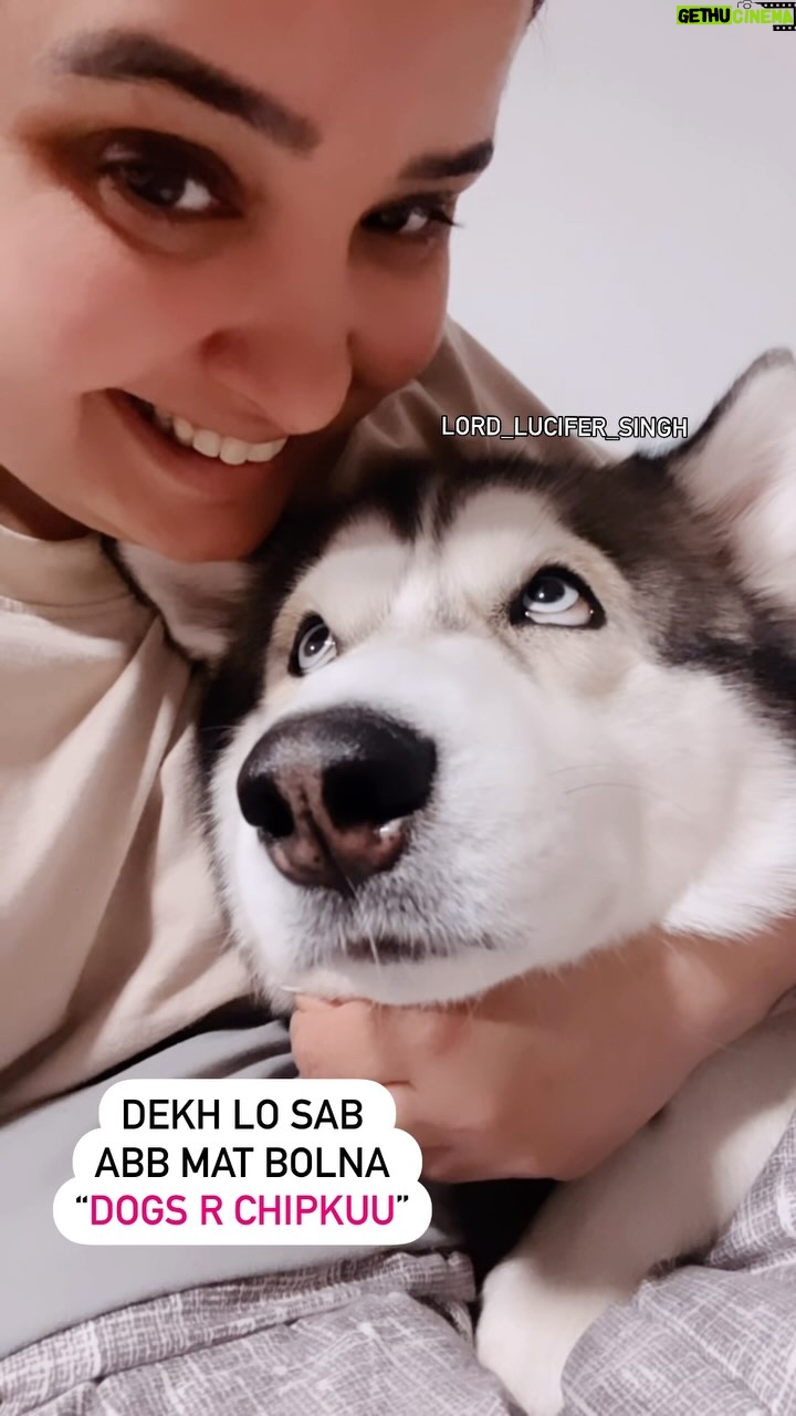 Ishmeet Kaur - 16.5K Likes - Geeli Geeli kissi karke mera poora muh geela kar diya iss AURAT ne bc 🤦🏻‍♀️
.
.
#dogvideo #dogmom #dogmumlife #goodnightpost #reelkrofeelkro❤️