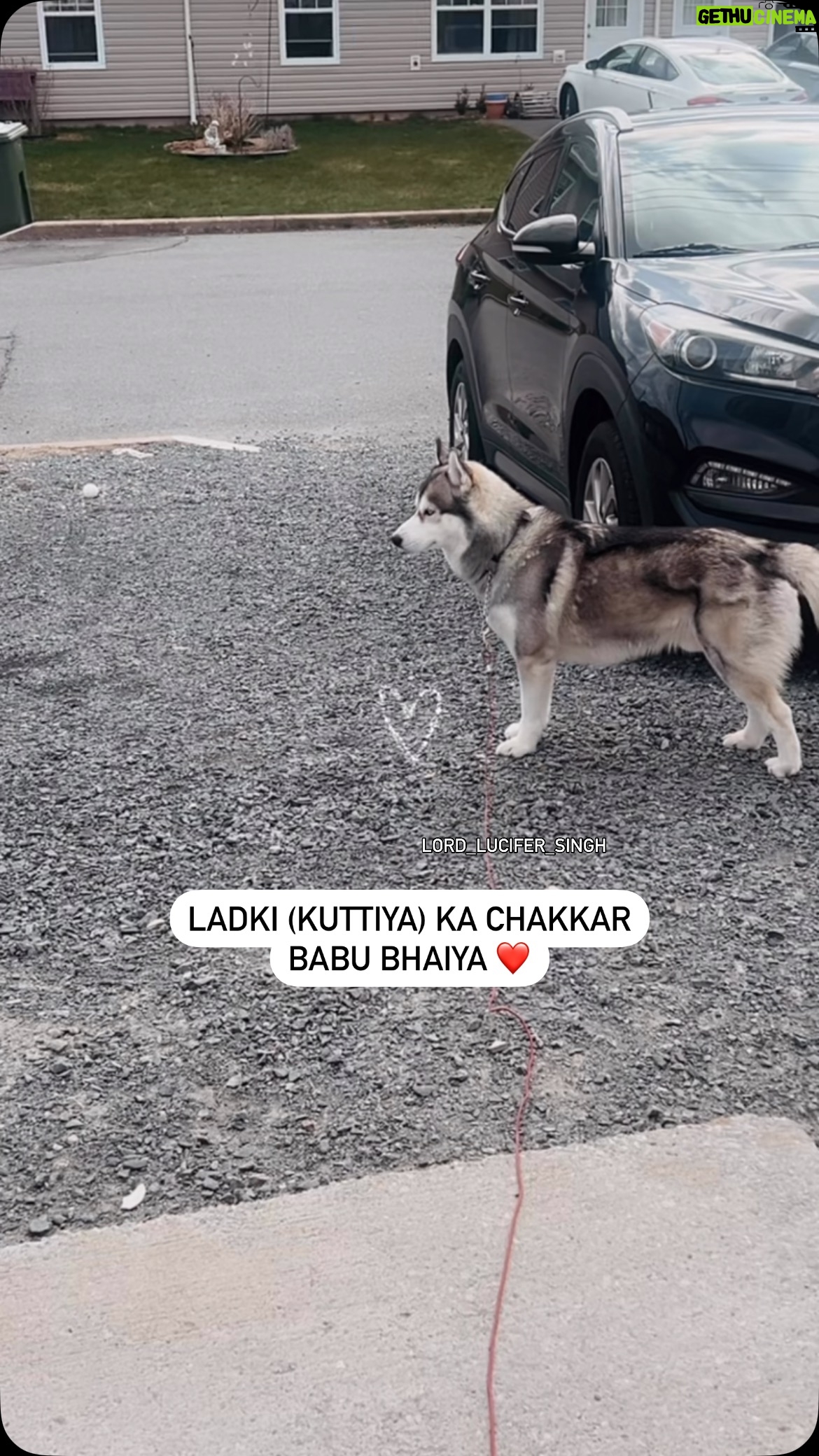 Ishmeet Kaur - 17.6K Likes - Ladki (kuttiya) ka chakkar babu bhaiya ❤️
.
.
#dogsofinstagram #siberianhusky #doggo #couple #dogcouple #beagle