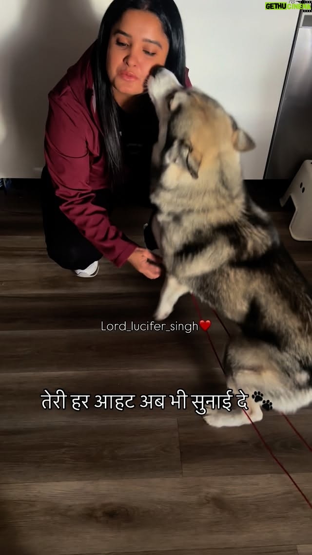 Ishmeet Kaur - 4.9K Likes - Mom’s heart still carries you, my sweet boy Luchiyaaaa & furever will ❤️🥺
.
.
#gonetoosoon💔