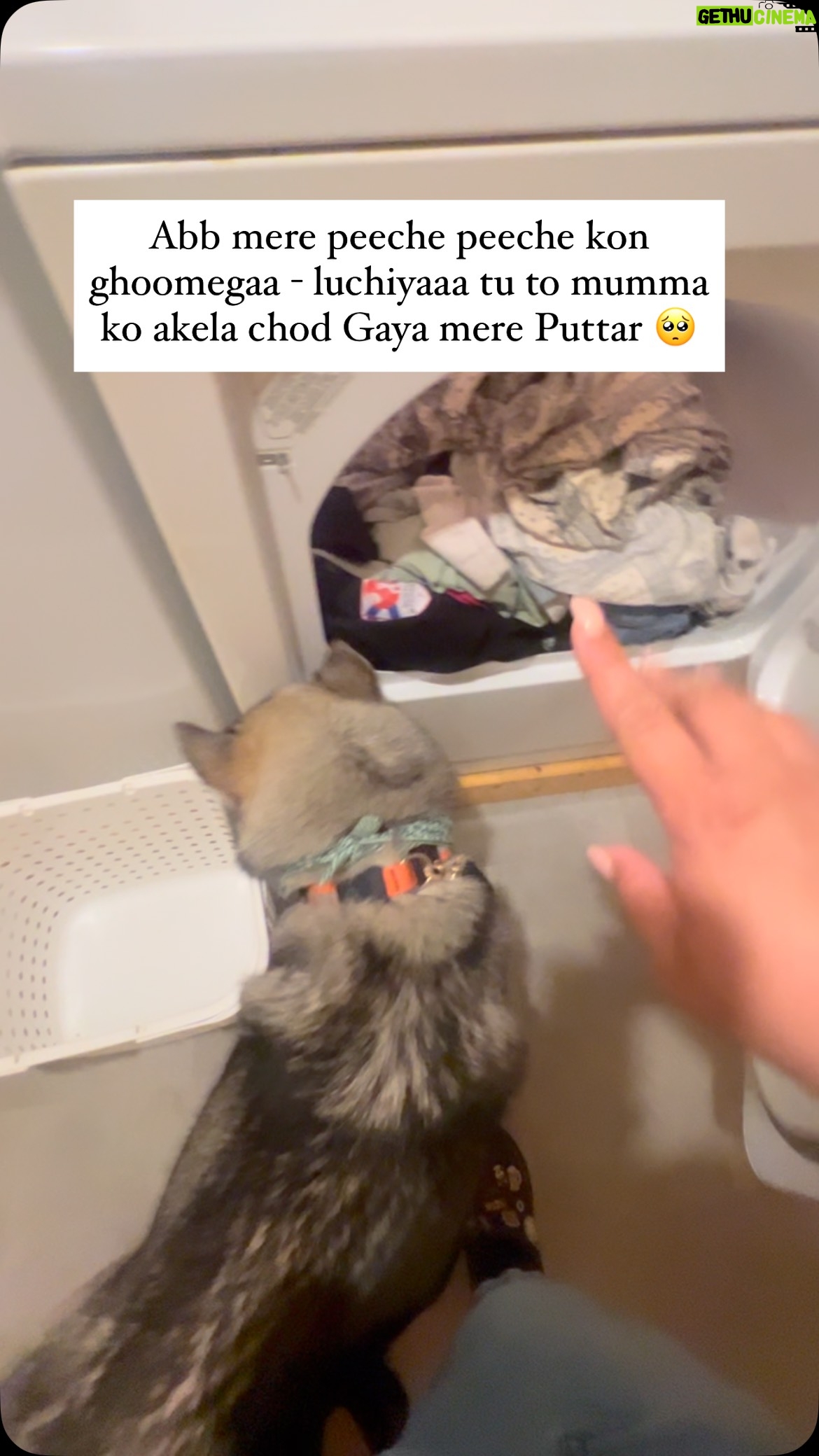 Ishmeet Kaur - 14.9K Likes - 💔😞🙏 mumma ko tang karne hee wapas aaja meri lomdiii 😞🥺 mumma ka jee nai lag ra tere bina