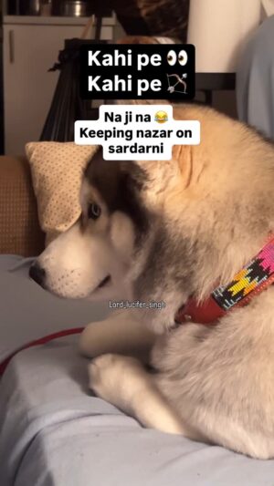 Ishmeet Kaur Instagram - š„ŗ Iām trying my best to share his happy videos