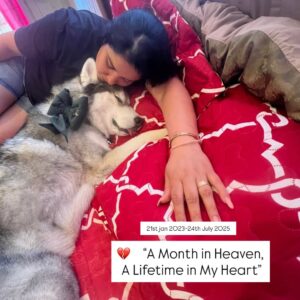 Ishmeet Kaur Instagram - “Sabse mushkil 30 din” 🥺😢😞💔
🌈🐾 A month ago, my Luchiyaa crossed the rainbow bridge. Not a day goes by that I don’t miss your cuddles, your wagging tail, and the joy you brought into our life. You weren’t just my dog—you were my son, my family, my best friend, my heart. 💔
Though you’re no longer here, your paw prints will stay on our soul forever. Until we meet again, run free and happy, my insta ka gunda but mumma ka ladla 🐶✨
#RainbowBridge #ForeverInMyHeart #doglove #rip #1month #lord_lucifer_singh