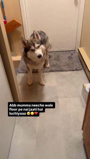 Ishmeet Kaur Instagram - 14 days without my baby boy š„ŗš