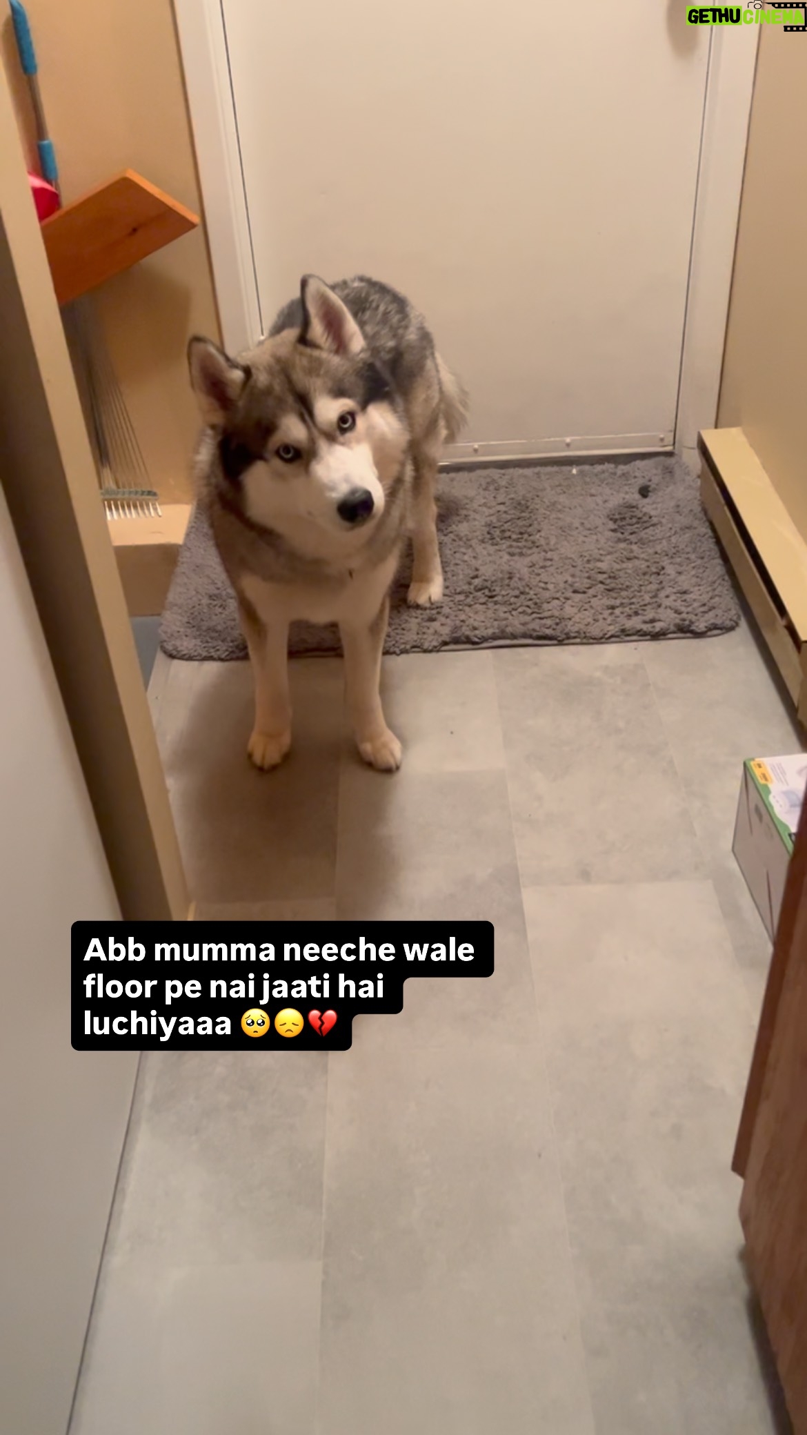 Ishmeet Kaur - 12.8K Likes - 14 days without my baby boy 🥺💔
