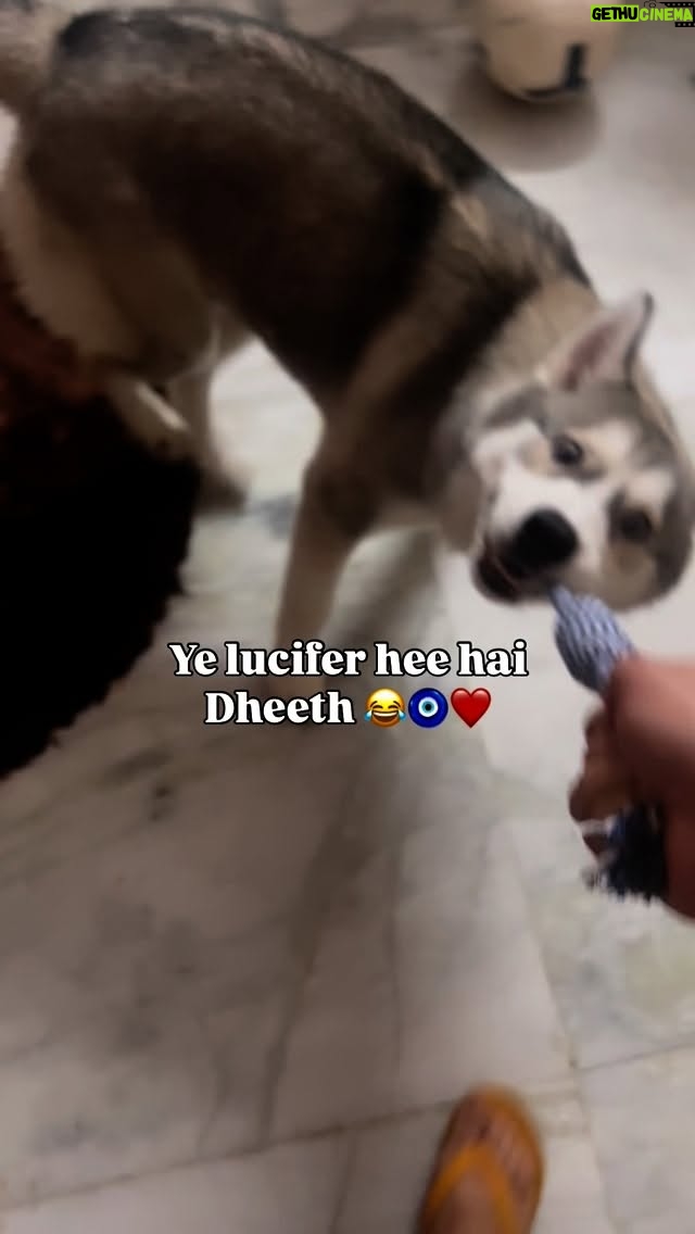 Ishmeet Kaur - 4.9K Likes - Dheeth no. 1