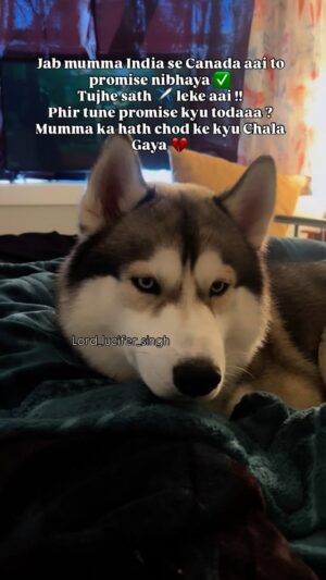 Ishmeet Kaur Instagram - šš„ŗ yaar luchiyaaa tu to dhokhebaaaz niklaaa š¾