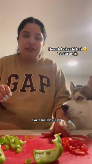 Ishmeet Kaur Instagram - Reporter busted ššš
.
.
#kitchen #kitchenstories #dogsofinstagram #dog #huskyvideo #lord_lucifer_singh #funnyvideos #funnydogvideos #instadog #dogmom #reporting #reportinglive #livefromkitchen