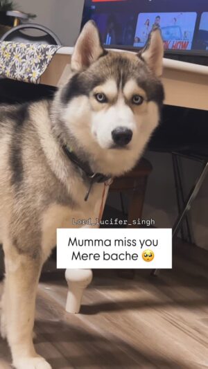 Ishmeet Kaur Instagram - Teri rah takke mumma ā¤ļøāš©¹š„ŗš