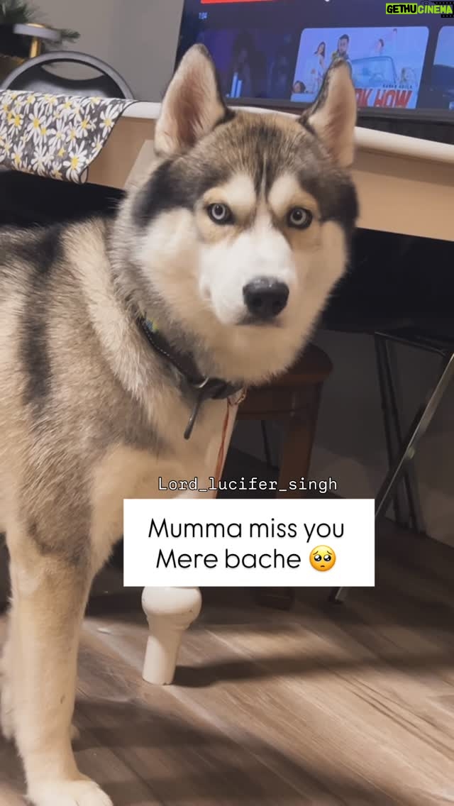 Ishmeet Kaur - 11.4K Likes - Teri rah takke mumma ❤️‍🩹🥺😞
