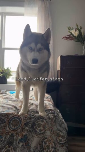 Ishmeet Kaur Instagram - š„ŗšš
