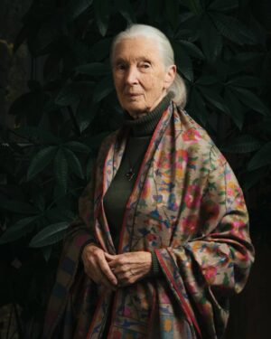 Jane Goodall Instagram - With great sadness, the Jane Goodall Institute confirmed this morning the passing of the organization’s founder, Dr. Jane Goodall, age 91 who died peacefully in her sleep while in Los Angeles, CA for her speaking tour in the United States. 

Dr. Goodall’s life and work not only made an indelible mark on our understanding of chimpanzees and other species, but also of humankind and the environments we all share. She inspired curiosity, hope and compassion in countless people around the world, and paved the way for many others — particularly young people who gave her hope for the future.

In 1960 Dr. Goodall established the longest running wild chimpanzee study in Gombe National Park, Tanzania which continues to this day. She pioneered and sustained the Jane Goodall Institute’s community-centered conservation initiatives across the chimpanzee range for over four decades. Her legacy includes the creation of JGI’s international environmental and humanitarian youth program Roots & Shoots, which is actively driving change in 75 countries and counting around the world.

The Jane Goodall Institute is incredibly grateful to all our supporters, partners, and friends, especially during this difficult time. To add a personal remembrance of Dr. Goodall and continue her legacy for future generations, please visit JaneGoodall.org/RememberingJane

#ThankYouJane #RememberingJane 💚

Photo credit: Marko Zlousic