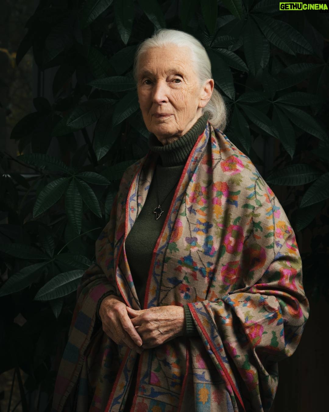 Most liked Instagram photo of Jane Goodall