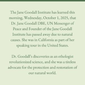 Jane Goodall Instagram - The Jane Goodall Institute has learned this morning, Wednesday, October 1, 2025, that Dr. Jane Goodall DBE, UN Messenger of Peace and Founder of the Jane Goodall Institute has passed away due to natural causes. She was in California as part of her speaking tour in the United States.
 
Dr. Goodall’s discoveries as an ethologist revolutionized science, and she was a tireless advocate for the protection and restoration of our natural world.