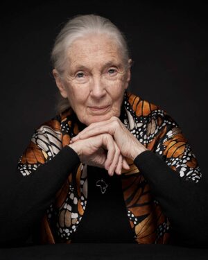Jane Goodall Instagram - 🕊️ Celebrating the Life of Dr. Jane Goodall

On Wednesday, November 12, 2025 at 11 a.m. ET, the Jane Goodall Institute USA will host a memorial service at the Washington National Cathedral to honor the extraordinary life and legacy of our founder, Dr. Jane Goodall.

This private gathering will bring together friends, partners, and supporters to reflect on Jane’s profound impact and renew our shared commitment to the hopeful future she inspired.

We invite you to join the service virtually via live broadcast at JaneGoodall.org 🌍

Photo credit: Vincent Calmel

#JaneGoodall #ThankYouJane #RememberingJane