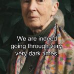 Jane Goodall