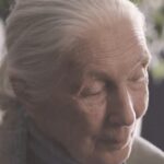 Jane Goodall