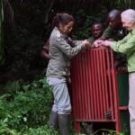 Jane Goodall