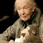 Jane Goodall