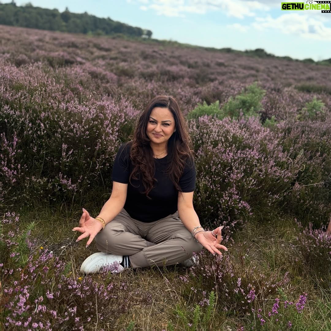 Javeria Abbasi - 8.1K Likes - Lavender Fields 🪻
(where flowers bloom so does the hope) @bia_qavi  @shanzayystarss ♥️