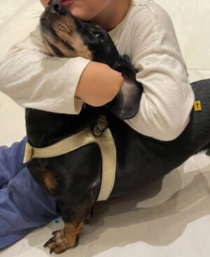 Jelisaveta Orašanin Instagram - U martu 2016. udomila sam moju Ljubicu, tada prebijenu, ranjenu i uplašenu na ulici. Od tog trenutka ona je moj ravnopravni član porodice. 💔🐾
Danas, dok je bezbedna i voljena, ne mogu da ćutim pred Nacrtom zakona o dobrobiti životinja koji umesto zaštite donosi nove oblike patnje i nehumanosti.
Potpišite peticiju 🙏🏻 :
https://peticije.kreni-promeni.org/petitions/stop-nehumanom-nacrtu-zakona-o-dobrobiti-zivotinja?source=homepage&utm_medium=promotion&utm_source=homepage
