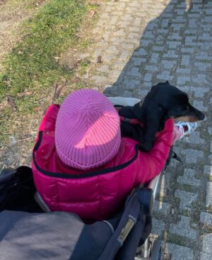 Jelisaveta Orašanin Instagram - U martu 2016. udomila sam moju Ljubicu, tada prebijenu, ranjenu i uplašenu na ulici. Od tog trenutka ona je moj ravnopravni član porodice. 💔🐾
Danas, dok je bezbedna i voljena, ne mogu da ćutim pred Nacrtom zakona o dobrobiti životinja koji umesto zaštite donosi nove oblike patnje i nehumanosti.
Potpišite peticiju 🙏🏻 :
https://peticije.kreni-promeni.org/petitions/stop-nehumanom-nacrtu-zakona-o-dobrobiti-zivotinja?source=homepage&utm_medium=promotion&utm_source=homepage