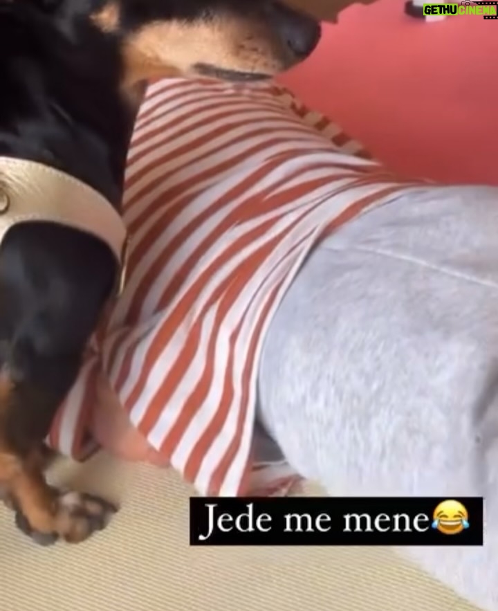 Jelisaveta Orašanin - 6K Likes - U martu 2016. udomila sam moju Ljubicu, tada prebijenu, ranjenu i uplašenu na ulici. Od tog trenutka ona je moj ravnopravni član porodice. 💔🐾
Danas, dok je bezbedna i voljena, ne mogu da ćutim pred Nacrtom zakona o dobrobiti životinja koji umesto zaštite donosi nove oblike patnje i nehumanosti.
 
Potpišite peticiju 🙏🏻 : 

https://peticije.kreni-promeni.org/petitions/stop-nehumanom-nacrtu-zakona-o-dobrobiti-zivotinja?source=homepage&utm_medium=promotion&utm_source=homepage