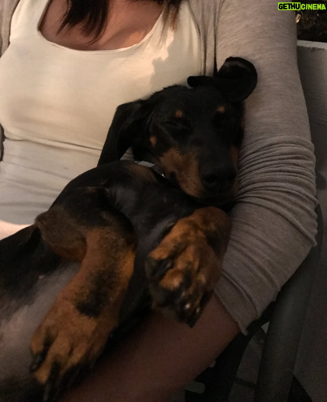 Jelisaveta Orašanin - 6K Likes - U martu 2016. udomila sam moju Ljubicu, tada prebijenu, ranjenu i uplašenu na ulici. Od tog trenutka ona je moj ravnopravni član porodice. 💔🐾
Danas, dok je bezbedna i voljena, ne mogu da ćutim pred Nacrtom zakona o dobrobiti životinja koji umesto zaštite donosi nove oblike patnje i nehumanosti.
 
Potpišite peticiju 🙏🏻 : 

https://peticije.kreni-promeni.org/petitions/stop-nehumanom-nacrtu-zakona-o-dobrobiti-zivotinja?source=homepage&utm_medium=promotion&utm_source=homepage