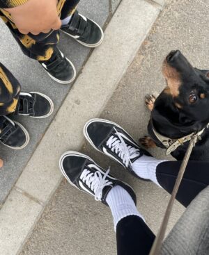 Jelisaveta Orašanin Instagram - U martu 2016. udomila sam moju Ljubicu, tada prebijenu, ranjenu i uplašenu na ulici. Od tog trenutka ona je moj ravnopravni član porodice. 💔🐾
Danas, dok je bezbedna i voljena, ne mogu da ćutim pred Nacrtom zakona o dobrobiti životinja koji umesto zaštite donosi nove oblike patnje i nehumanosti.
Potpišite peticiju 🙏🏻 :
https://peticije.kreni-promeni.org/petitions/stop-nehumanom-nacrtu-zakona-o-dobrobiti-zivotinja?source=homepage&utm_medium=promotion&utm_source=homepage