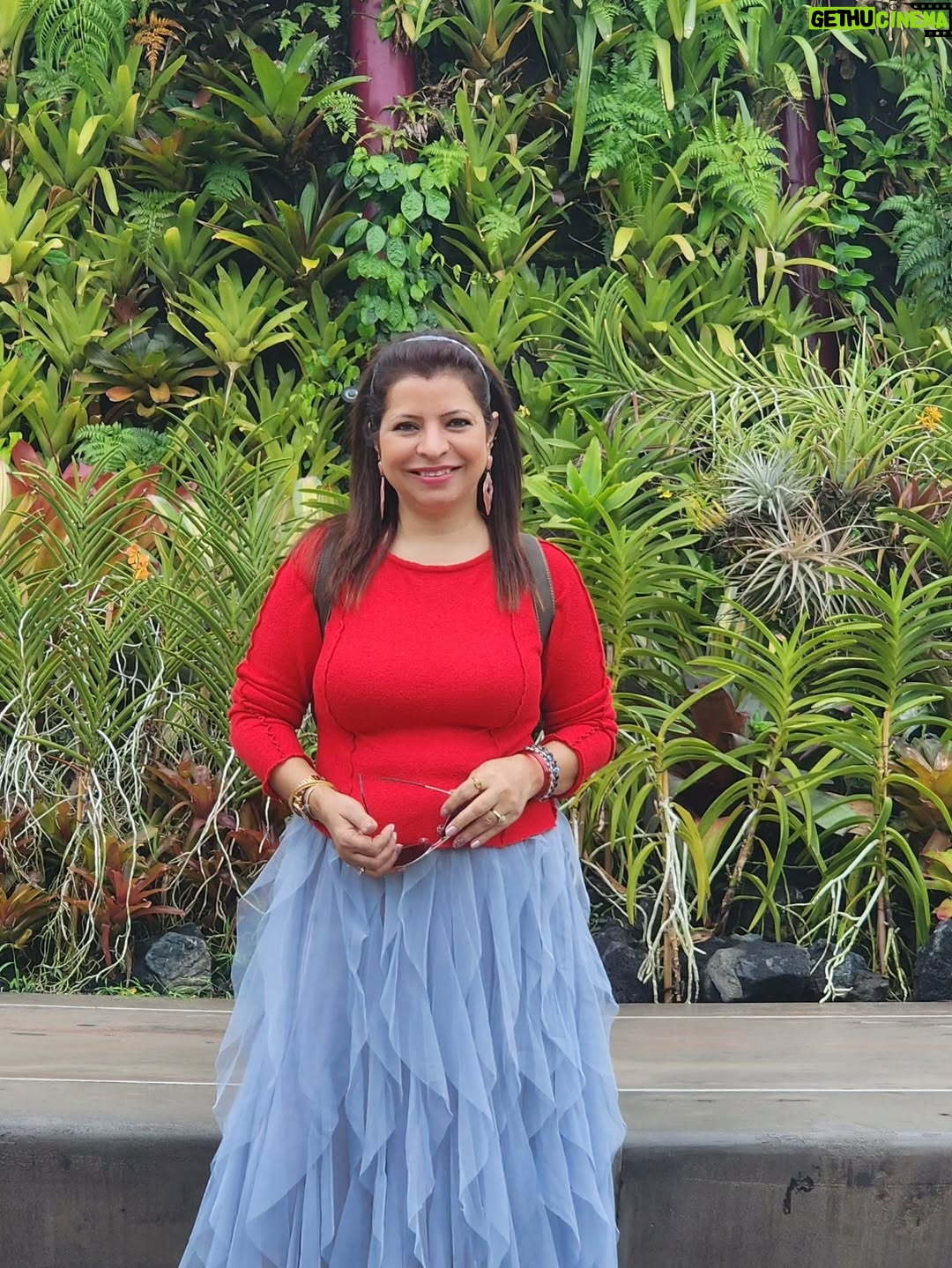 Jennifer Mistry Bansiwal - 13.4K Likes - Colourful