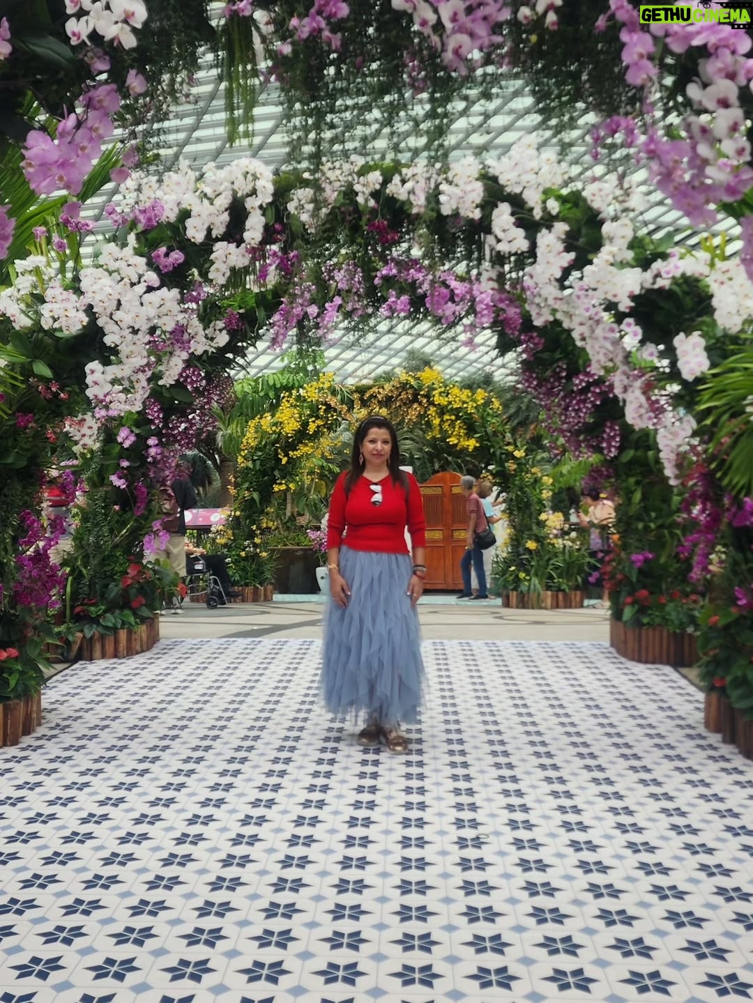 Jennifer Mistry Bansiwal - 13.4K Likes - Colourful