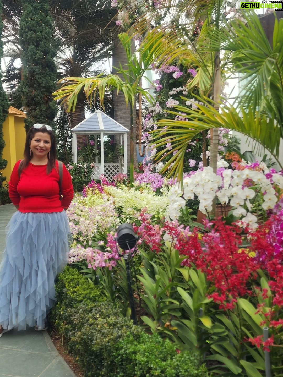 Jennifer Mistry Bansiwal - 13.4K Likes - Colourful