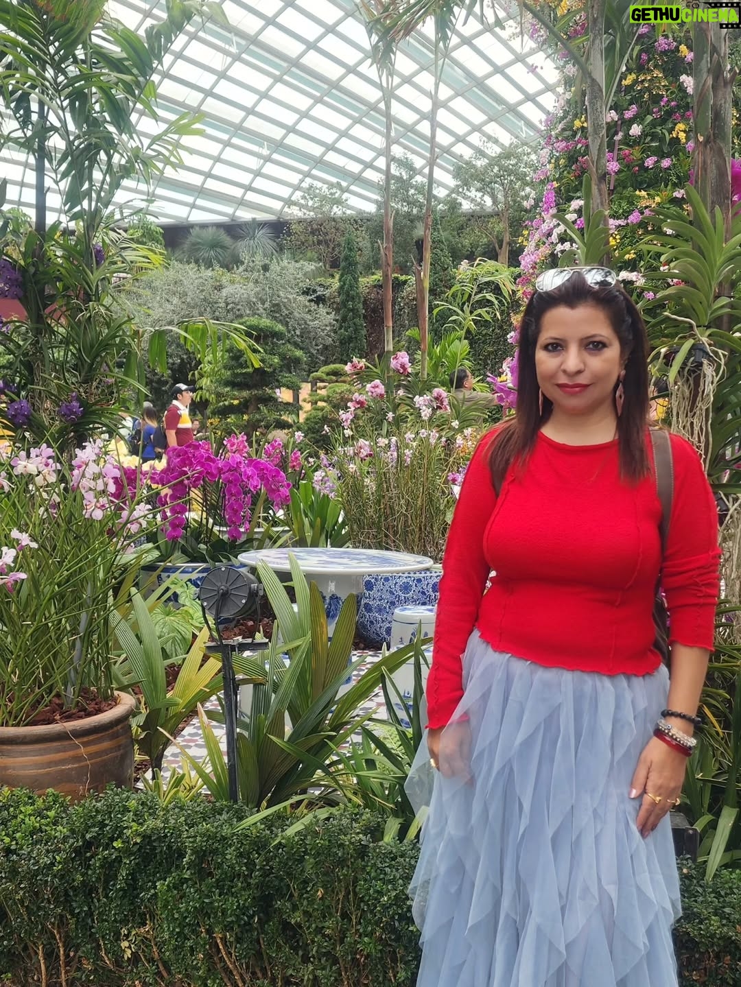 Jennifer Mistry Bansiwal - 13.4K Likes - Colourful