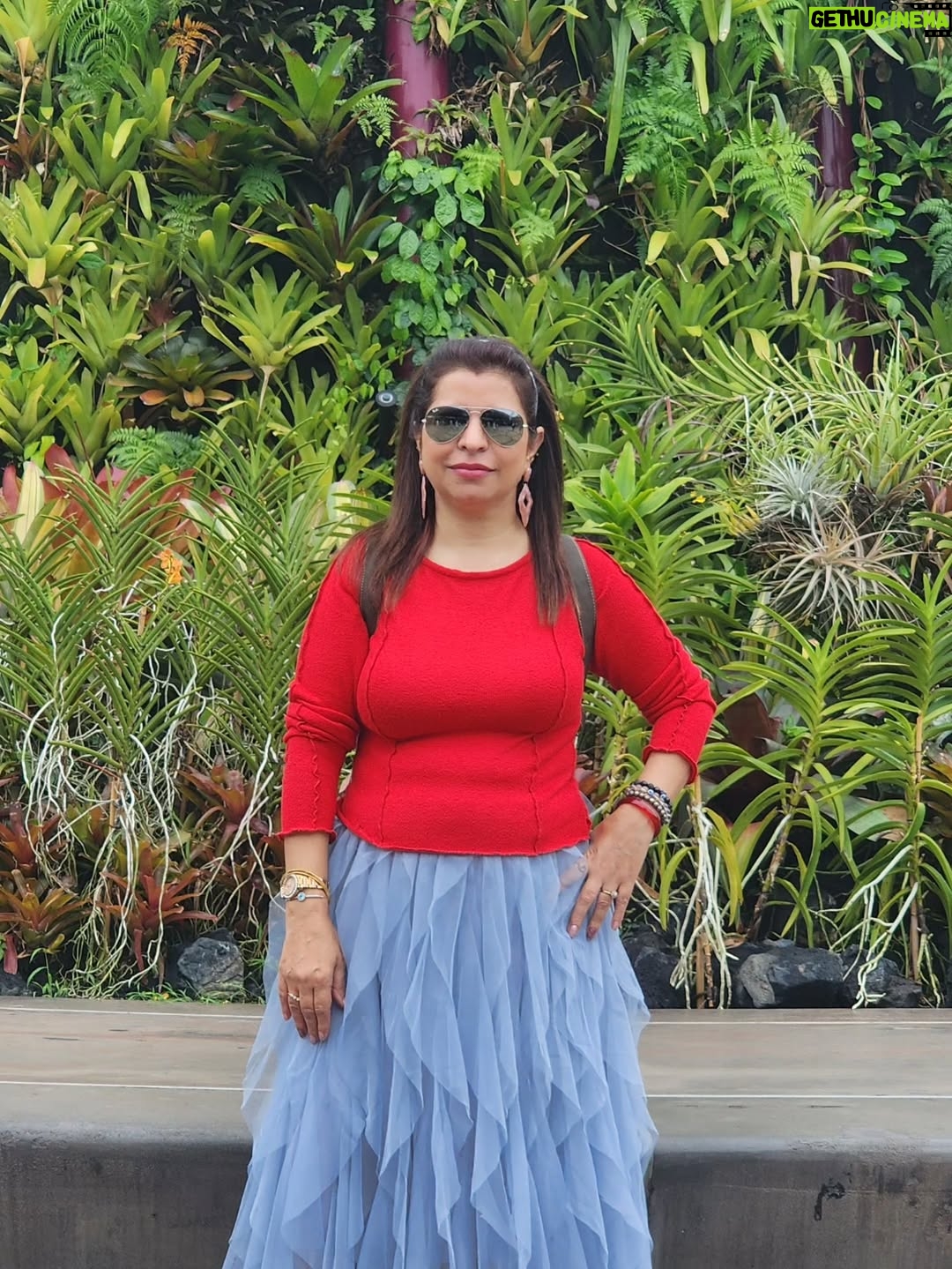 Jennifer Mistry Bansiwal - 13.4K Likes - Colourful