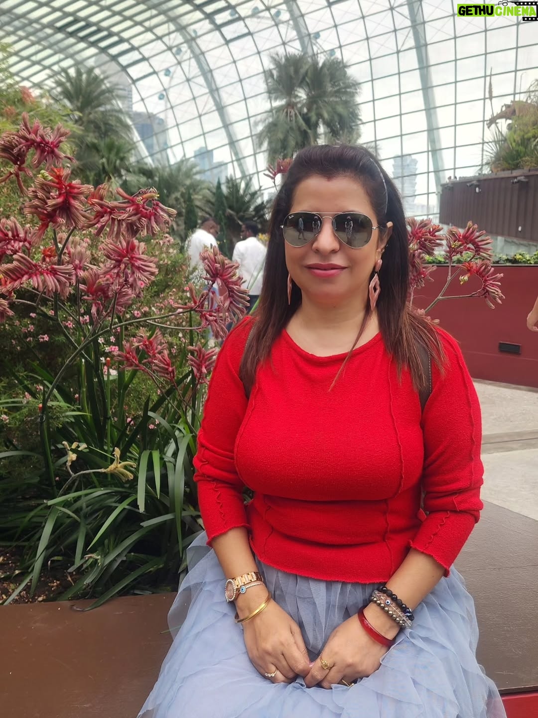 Jennifer Mistry Bansiwal - 13.4K Likes - Colourful