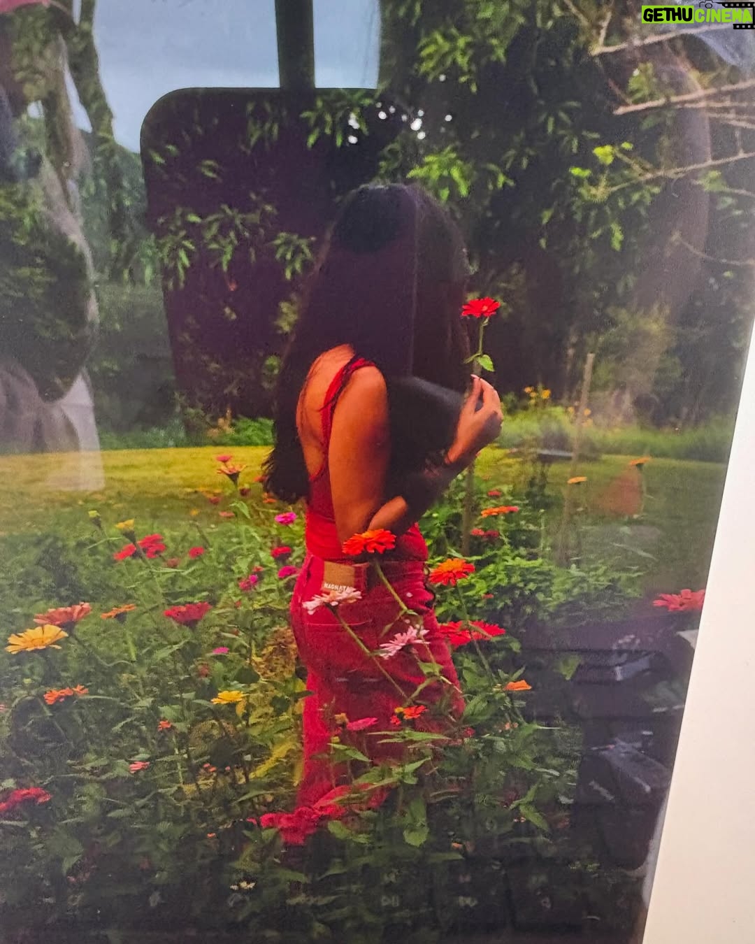 Jessica Gomes - 2.1K Likes - I want more green in my life 🟢
Friends. Sun baking. Dancing. Slower mornings. Breathing. Deep inhales & exhales. Crystals. Hinterland walks. Long dinners. Flowers. Cacao. Fresh organic produce. Farmers markets. Cooking. Fun events. Gatherings. Singing. Rapping. Journalling. Swimsuits. Nagnata. Retreats. Detoxes. Ceremony. Sexy hottie photoshoots. Yoga. Deep connections. Rolling green hills. Long chats under the stars. Hangs by the fire. Belly laughs. Crys. Nature sounds. Ocean dips. Tea ceremonies. Sunsets. Sunrises. Rainbows. Bakeries. General stores. Greens from the garden. Gardening. Roses. Essential oils. Steamies. Salt scrubs. Spa days. Bi carb. Cold dips. Cards. Prayers. Women’s circle. Community. Country roads. Pot holes. Snakes. Butterflies. Birds. Burning Sage. Candles. Horses. Green paddocks. Cows. Surf talk. Swimming Pools. Sheep. Wooden fences. Incense. Books. Diary entries. Antique stores. Fresh herbs. Homewares. Baskets. Long chats about the same thing. And on and on and on. 🥀