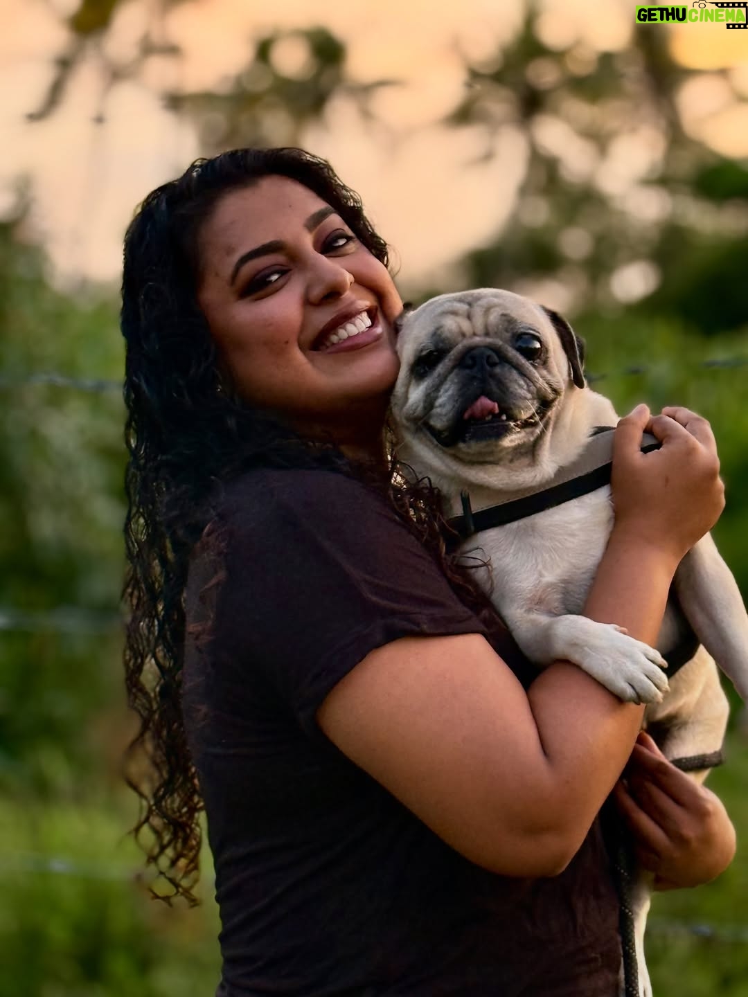 Jewel Mary - 5K Likes - അവന്റെ ലോകം ഞാൻ മാത്രം ആണെന്ന തിരിച്ചറിവാണ് എന്റെ ജീവിതത്തിലെ ഏറ്റവും വലിയ അഹങ്കാരവും ഏറ്റവും വലിയ വേദനയും .. കാലത്തു കണ്ണ് തുറക്കുമ്പോ മുതൽ എന്റെ കട്ടിലിന്റെ കീഴെ ഉറക്കം പിടിക്കുന്ന വരെ .. എന്നെ ചുറ്റി പറ്റി ആണ് ചെക്കന്റെ ജീവിതം .. എന്റെ കൂടെ ആയിരിക്കുക എന്നതാണ് ഏറ്റവും വലിയ സന്തോഷം .. ഞാൻ പുറത്തു പോകുമ്പോളോ മറ്റോ ആശാന് മുള്ളാൻ മുട്ടിയാൽ .. ‘അമ്മ നടക്കുന്ന വഴിയിലോ പെരുമാറുന്ന ഇടങ്ങളിലോ വൃത്തികേടാക്കാതെ ഏതെങ്കിലും ഒരു മൂല കണ്ടുപിടിച്ചു കാര്യം സാധിക്കുക എന്നതാണ് അവന്റെ ലോജിക് ! പിന്നെ മൂത്ര ചൂരിന്റെ സ്രോതസ്സ് കണ്ടുപിടിക്കുക എന്ന കഠിനമായ ജോലി എന്റേത് ! .. വഴിലിറങ്ങുമ്പോ മാത്രം എന്നോട് ചെറിയ വാശി ഒക്കെ കാണിക്കും .. നോക്കി നില്കാലെ നാട് റോഡ് ലേക്ക് ഓടും വണ്ടി വരുമ്പോ അതിന്റെ മുന്നിലേക്കല്ല .. ഒപ്പോസിറ്റ് വശത്തേക്ക് നീങ്ങണം ന്നു ഞാൻ ഇവനെ എങ്ങനെ പറഞ്ഞു മനസിലാക്കണ .. ലീഷ് മ്മെ കെടന്നു ടാഗ് ഓഫ് വാർ ആണ് ! ഇരുണ്ട കാലങ്ങളിൽ .. മരിച്ചാലൊന്ന് പലപ്പോഴും ഓർകുമ്പോ ഇവന്റെ മുഖം ഓർമ്മ വരും .. ഞാൻ പോയ ഇവനെ ആര് നോക്കും .. ഇവന് വേണ്ടി ഞാൻ പലപ്പോഴും ജീവിതത്തെ ചൂസ് ചെയ്തു ! എനിക്ക് വേണ്ടി എന്റെ മാത്രം ഒരു ചക്കര കുട്ടൻ ! കുഞ്ഞു വാശികളും ഒരു കുന്നു സ്നേഹവുമായി ഹൈക്കു കുട്ടൻ !! #haiku #pug #dogmom #life #pet #pugsofinstagram #pugstagram #pugs #puglife