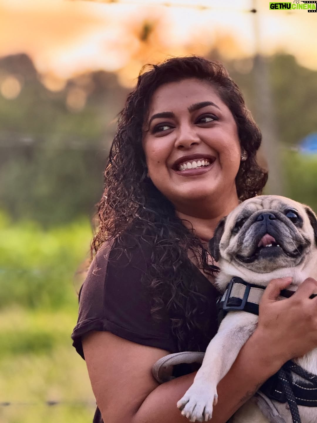Jewel Mary - 5K Likes - അവന്റെ ലോകം ഞാൻ മാത്രം ആണെന്ന തിരിച്ചറിവാണ് എന്റെ ജീവിതത്തിലെ ഏറ്റവും വലിയ അഹങ്കാരവും ഏറ്റവും വലിയ വേദനയും .. കാലത്തു കണ്ണ് തുറക്കുമ്പോ മുതൽ എന്റെ കട്ടിലിന്റെ കീഴെ ഉറക്കം പിടിക്കുന്ന വരെ .. എന്നെ ചുറ്റി പറ്റി ആണ് ചെക്കന്റെ ജീവിതം .. എന്റെ കൂടെ ആയിരിക്കുക എന്നതാണ് ഏറ്റവും വലിയ സന്തോഷം .. ഞാൻ പുറത്തു പോകുമ്പോളോ മറ്റോ ആശാന് മുള്ളാൻ മുട്ടിയാൽ .. ‘അമ്മ നടക്കുന്ന വഴിയിലോ പെരുമാറുന്ന ഇടങ്ങളിലോ വൃത്തികേടാക്കാതെ ഏതെങ്കിലും ഒരു മൂല കണ്ടുപിടിച്ചു കാര്യം സാധിക്കുക എന്നതാണ് അവന്റെ ലോജിക് ! പിന്നെ മൂത്ര ചൂരിന്റെ സ്രോതസ്സ് കണ്ടുപിടിക്കുക എന്ന കഠിനമായ ജോലി എന്റേത് ! .. വഴിലിറങ്ങുമ്പോ മാത്രം എന്നോട് ചെറിയ വാശി ഒക്കെ കാണിക്കും .. നോക്കി നില്കാലെ നാട് റോഡ് ലേക്ക് ഓടും വണ്ടി വരുമ്പോ അതിന്റെ മുന്നിലേക്കല്ല .. ഒപ്പോസിറ്റ് വശത്തേക്ക് നീങ്ങണം ന്നു ഞാൻ ഇവനെ എങ്ങനെ പറഞ്ഞു മനസിലാക്കണ .. ലീഷ് മ്മെ കെടന്നു ടാഗ് ഓഫ് വാർ ആണ് ! ഇരുണ്ട കാലങ്ങളിൽ .. മരിച്ചാലൊന്ന് പലപ്പോഴും ഓർകുമ്പോ ഇവന്റെ മുഖം ഓർമ്മ വരും .. ഞാൻ പോയ ഇവനെ ആര് നോക്കും .. ഇവന് വേണ്ടി ഞാൻ പലപ്പോഴും ജീവിതത്തെ ചൂസ് ചെയ്തു ! എനിക്ക് വേണ്ടി എന്റെ മാത്രം ഒരു ചക്കര കുട്ടൻ ! കുഞ്ഞു വാശികളും ഒരു കുന്നു സ്നേഹവുമായി ഹൈക്കു കുട്ടൻ !! #haiku #pug #dogmom #life #pet #pugsofinstagram #pugstagram #pugs #puglife