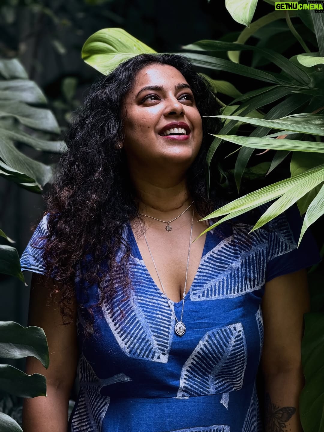 Jewel Mary - 23.3K Likes - പണ്ടേതോ ജന്മത്തിൽ എന്റെ പേര് കുമുദിനി എന്നായിരുന്നു . ഞാൻ ഒരു നിബിഡവനത്തിന്റെ സൂക്ഷിപ്പുകാരിയായിരുന്നു . ഞാനങ്ങനെ മൂളിപ്പാട്ടൊക്കെ പാടി മരങ്ങളോടും കിളികളോടുമൊക്കെ മിണ്ടീമ് പറഞ്ഞുമൊക്കെ അവിടങ്ങനെ ചുറ്റിക്കറങ്ങി നടന്നു ! ഇന്നീ പടമെടുക്കാൻ നേരം ഇലകൾ പറഞ്ഞു തന്നതാണ് ഈ കഥ ! പോയ ജന്മങ്ങളിലെ ഒരു നുണ കഥ
