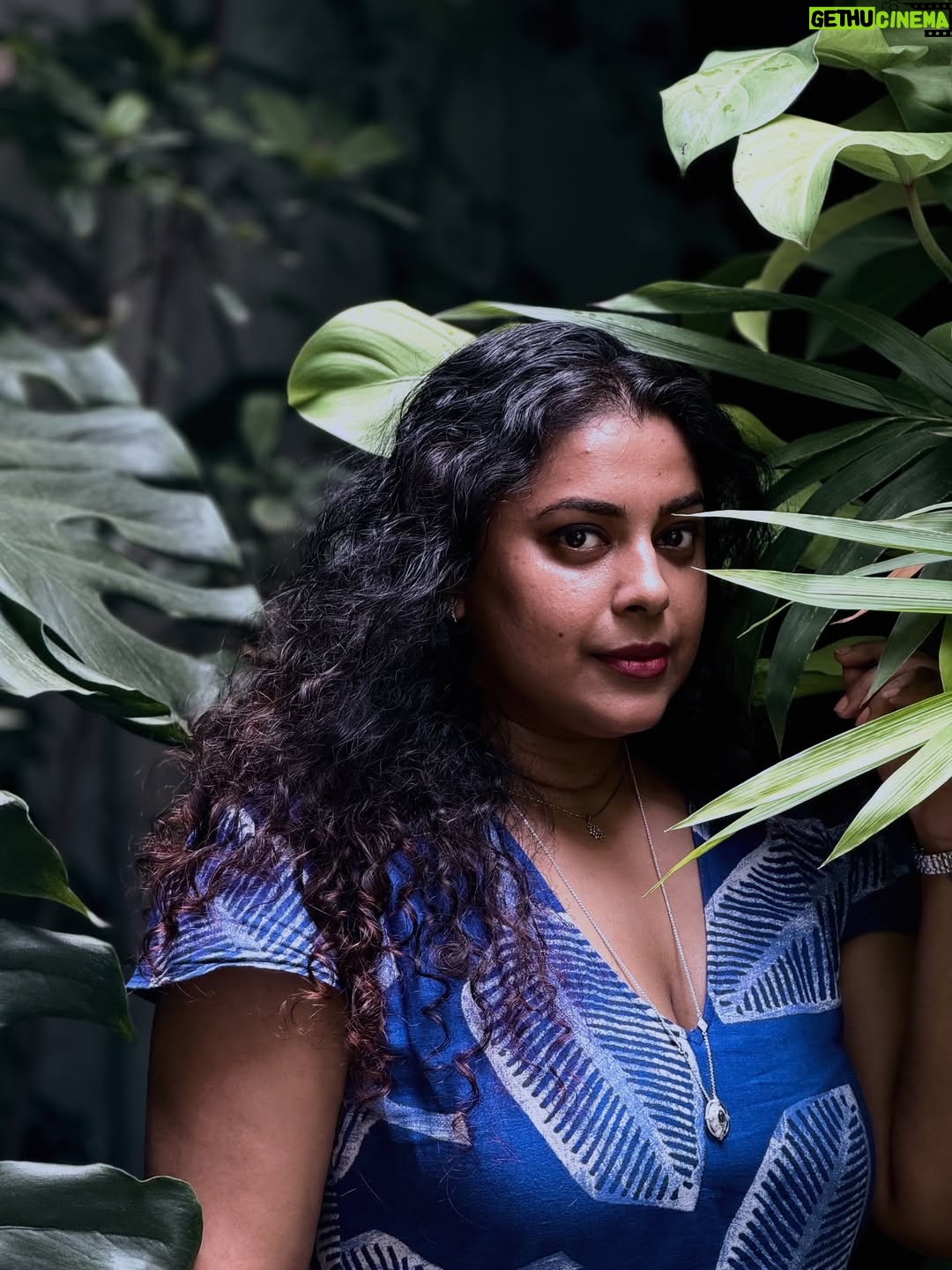 Jewel Mary - 23.3K Likes - പണ്ടേതോ ജന്മത്തിൽ എന്റെ പേര് കുമുദിനി എന്നായിരുന്നു . ഞാൻ ഒരു നിബിഡവനത്തിന്റെ സൂക്ഷിപ്പുകാരിയായിരുന്നു . ഞാനങ്ങനെ മൂളിപ്പാട്ടൊക്കെ പാടി മരങ്ങളോടും കിളികളോടുമൊക്കെ മിണ്ടീമ് പറഞ്ഞുമൊക്കെ അവിടങ്ങനെ ചുറ്റിക്കറങ്ങി നടന്നു ! ഇന്നീ പടമെടുക്കാൻ നേരം ഇലകൾ പറഞ്ഞു തന്നതാണ് ഈ കഥ ! പോയ ജന്മങ്ങളിലെ ഒരു നുണ കഥ