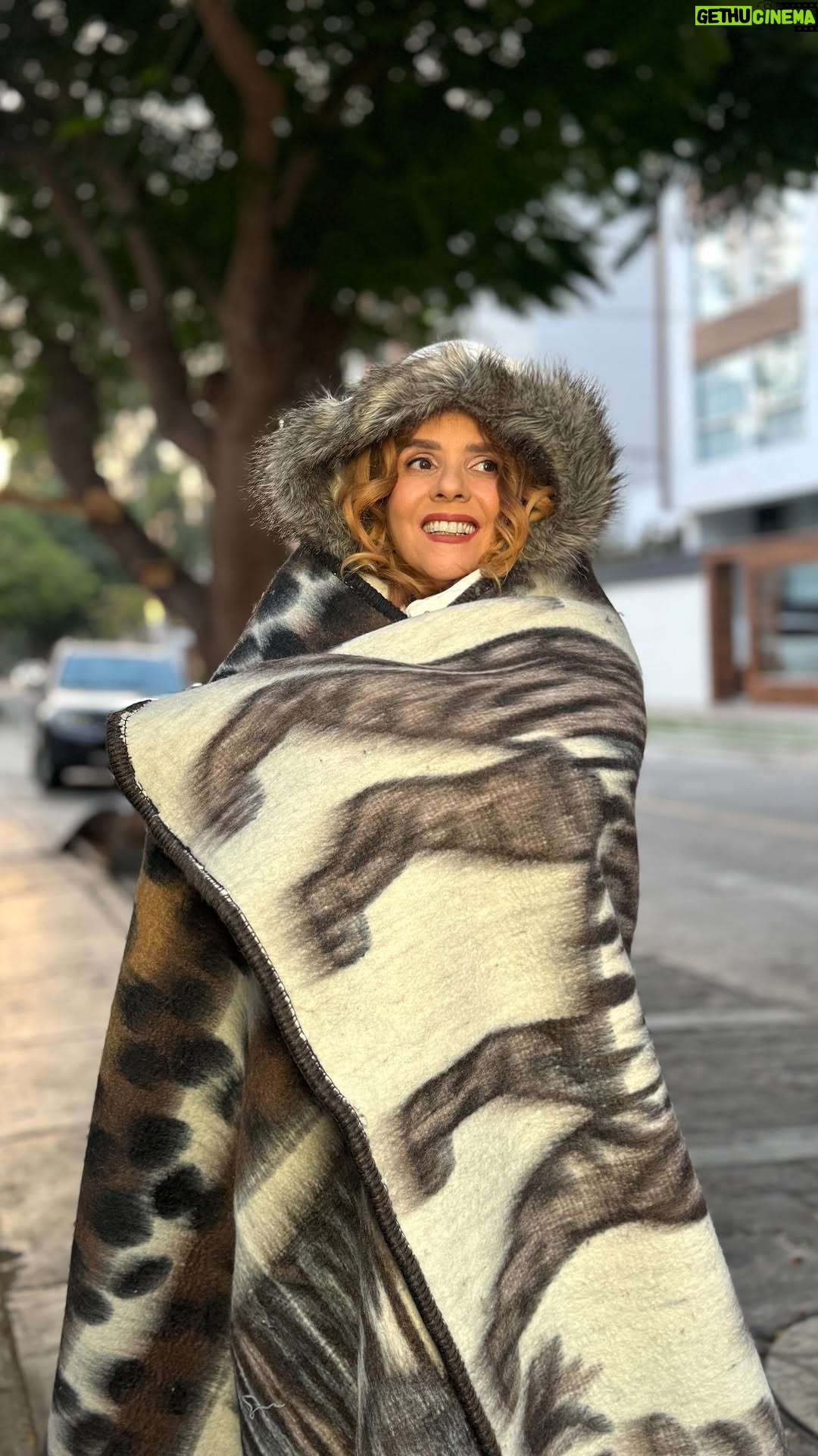 Johanna San Miguel - 45.2K Likes - A sacar la frazada tigre se ha dicho 🥶❄️ #frío #invierno #comedia