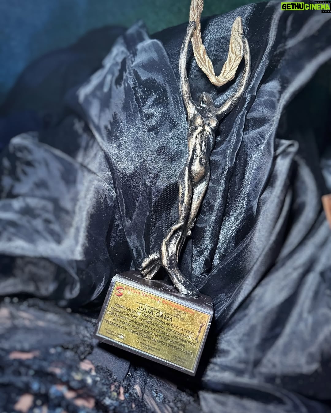 Julia Gama - 4.6K Likes - Es un honor recibir la “Palma de Oro” a la Excelencia Profesional 2025, agradezco a la @cinpe.mx y a cada uno de sus fundadores por su consideración. ¡Gracias México y a la gente mexicana por su cariño y generosidad siempre! 

Vestido del talentoso @angelfarfalla by @buffoni_theshowroom .

#palmadeoro #latinosunidos